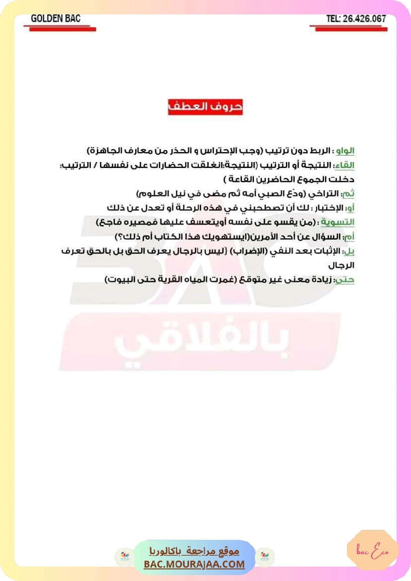 ملخص عربية