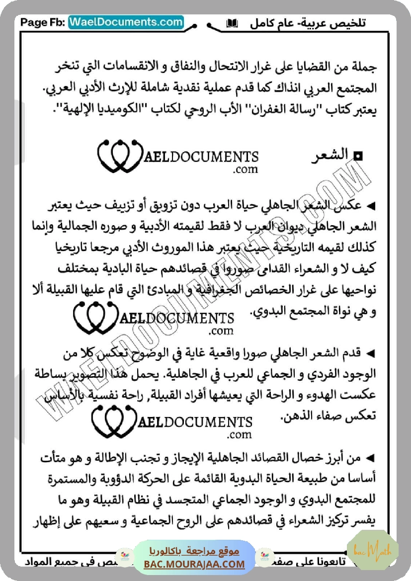 تلخيص_عربية_عام_كامل