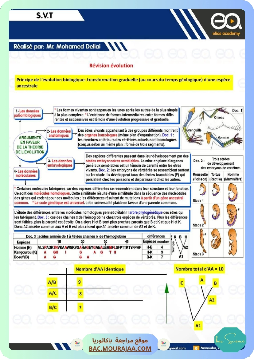 revision svt