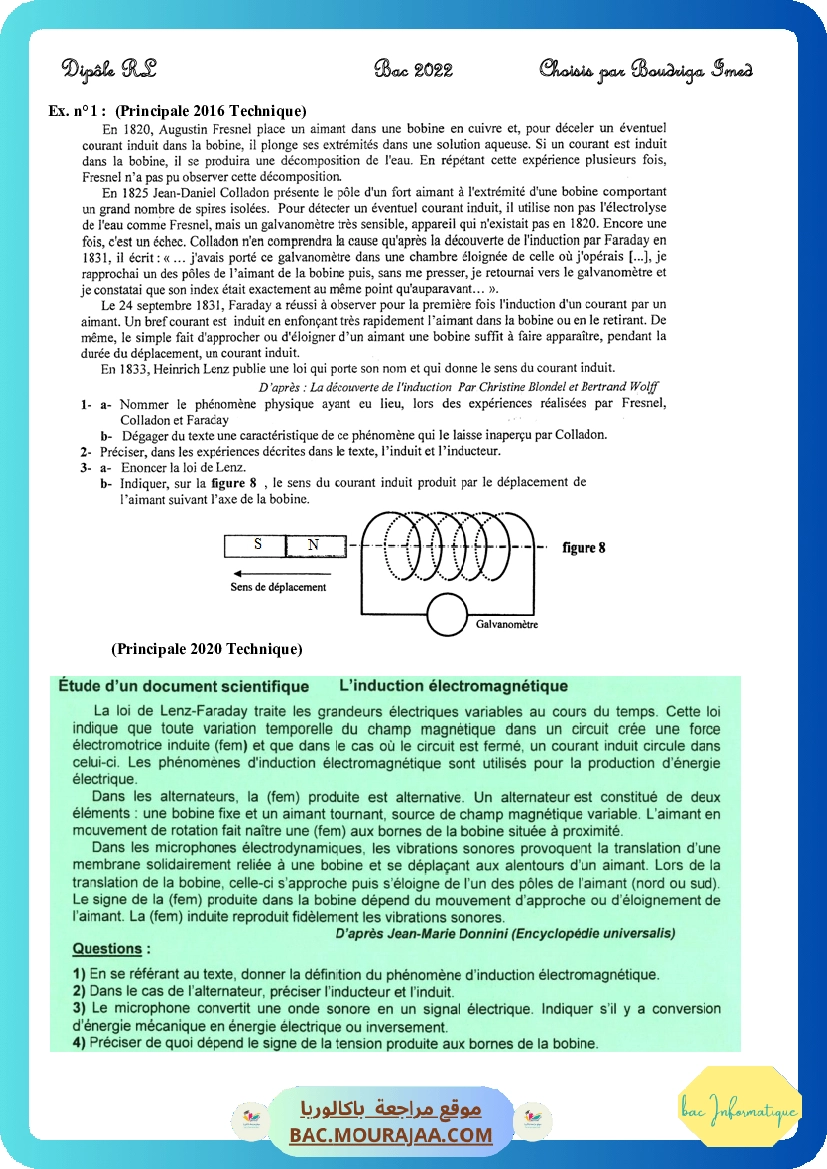 Diple-RL2022