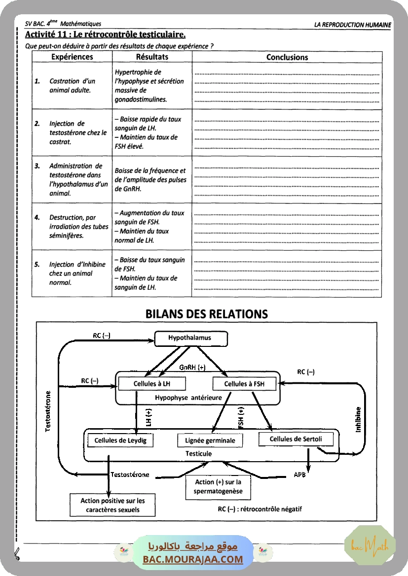 Pilote_4_Physique_Chimie_Bac_Math_T2