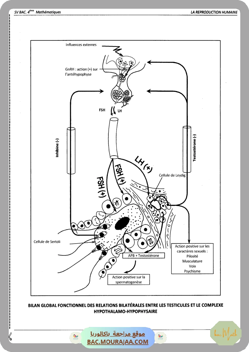 Pilote_4_Physique_Chimie_Bac_Math_T2