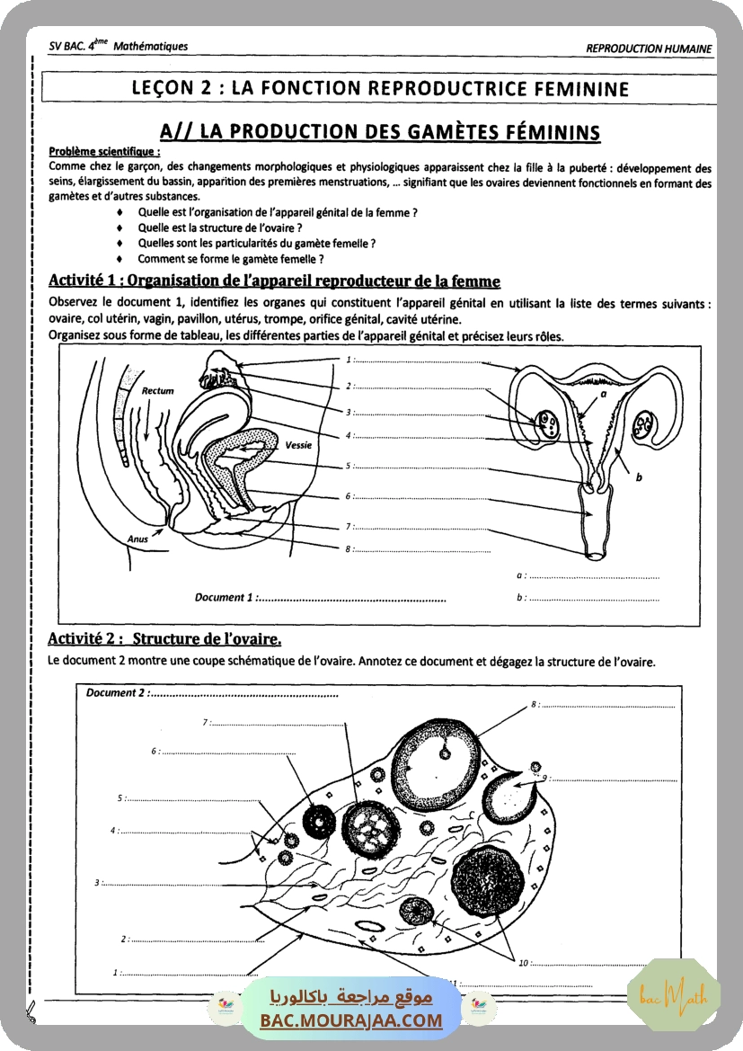 Pilote_4_Physique_Chimie_Bac_Math_T2