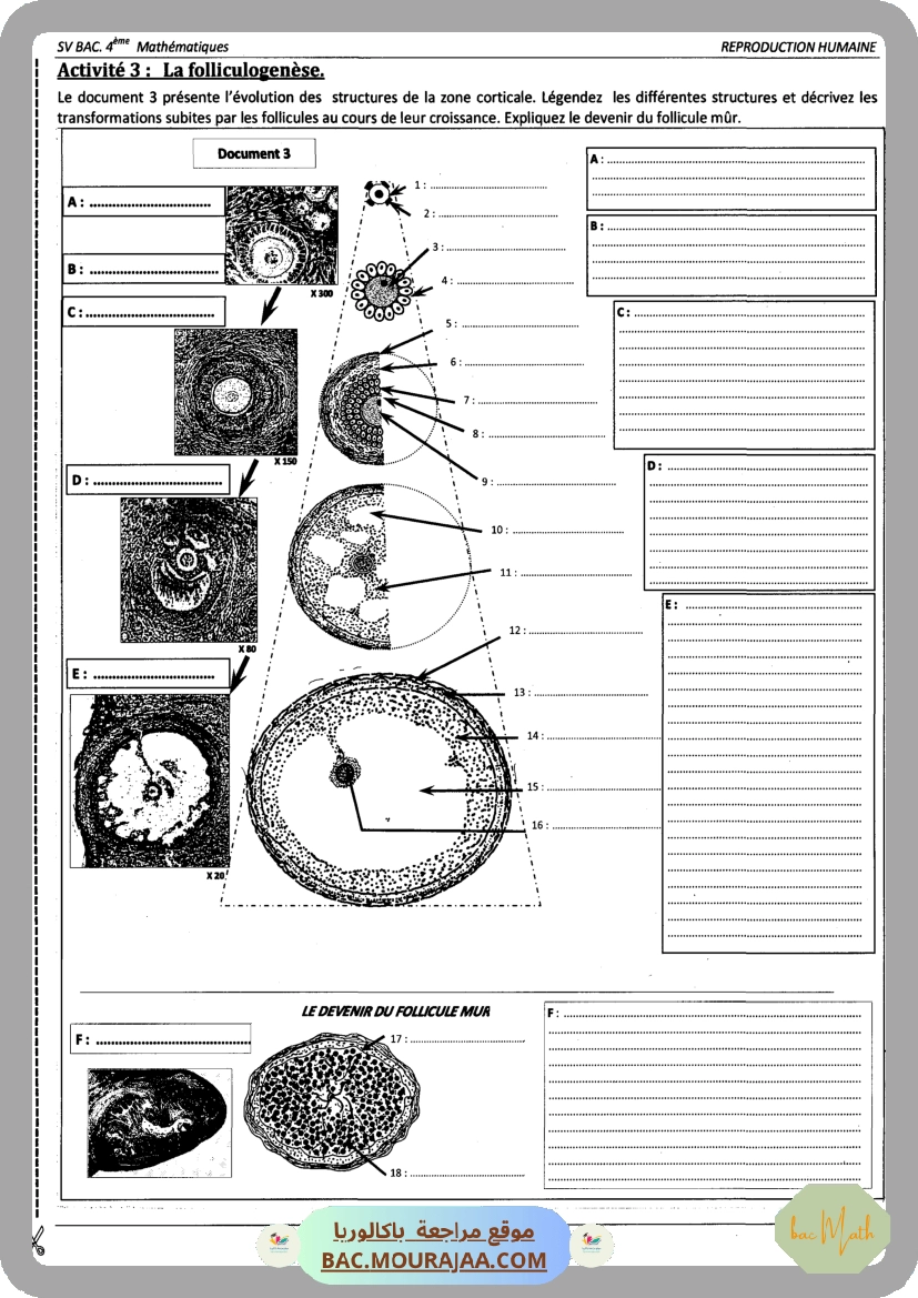 Pilote_4_Physique_Chimie_Bac_Math_T2
