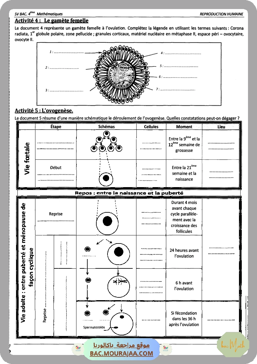 Pilote_4_Physique_Chimie_Bac_Math_T2