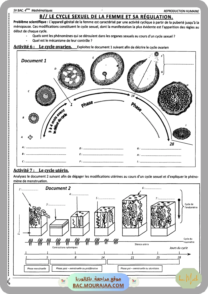 Pilote_4_Physique_Chimie_Bac_Math_T2