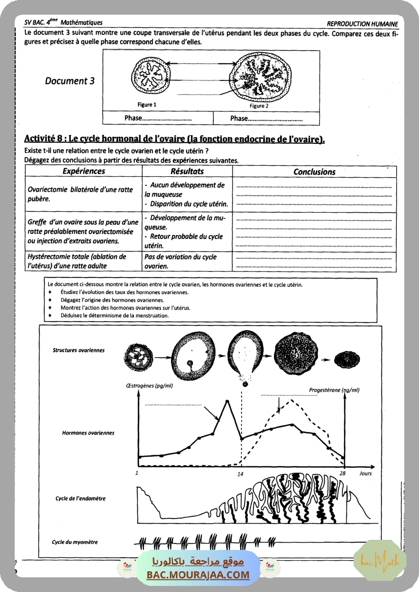 Pilote_4_Physique_Chimie_Bac_Math_T2