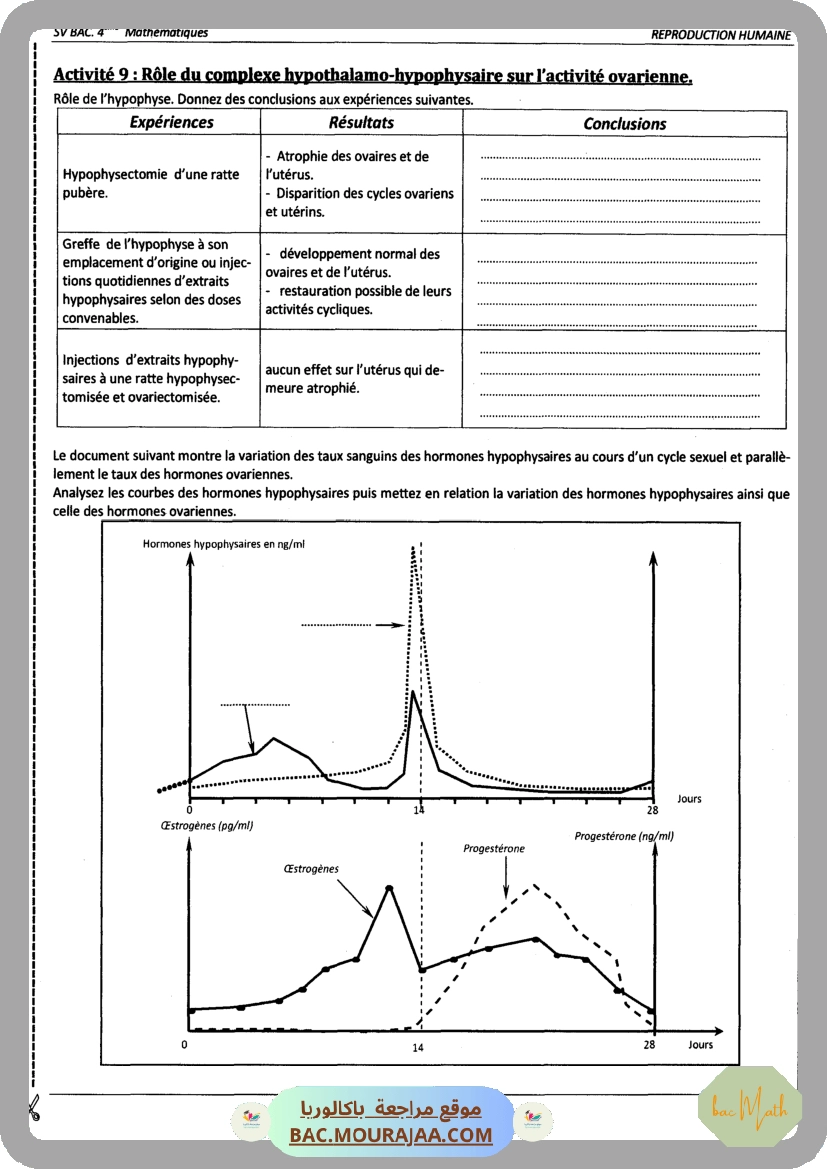 Pilote_4_Physique_Chimie_Bac_Math_T2