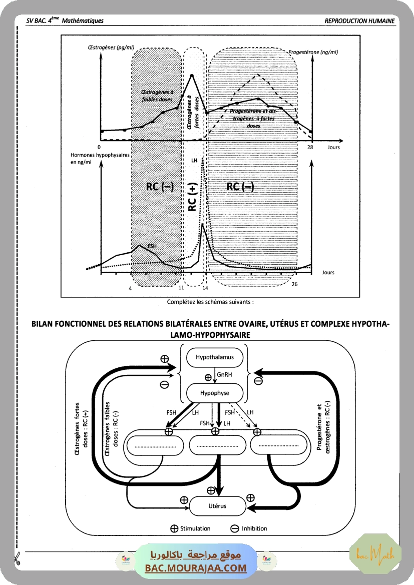 Pilote_4_Physique_Chimie_Bac_Math_T2