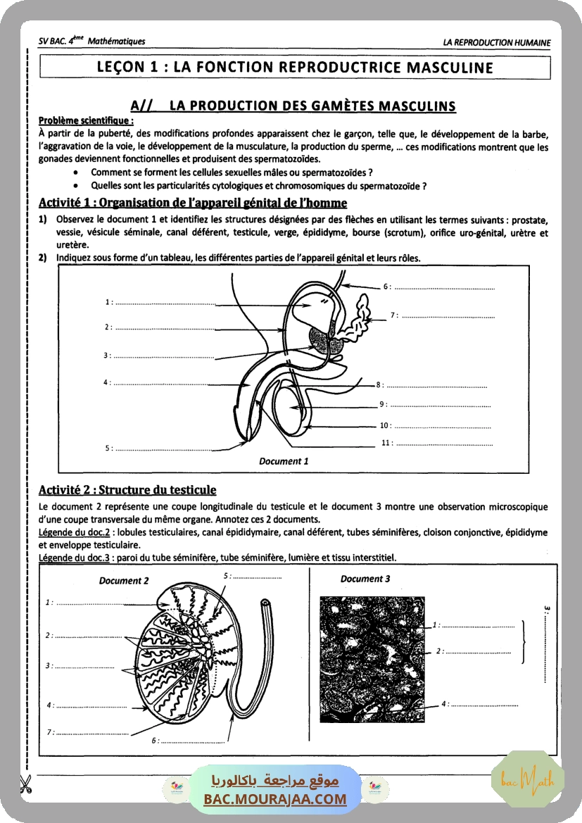 Pilote_4_Physique_Chimie_Bac_Math_T2