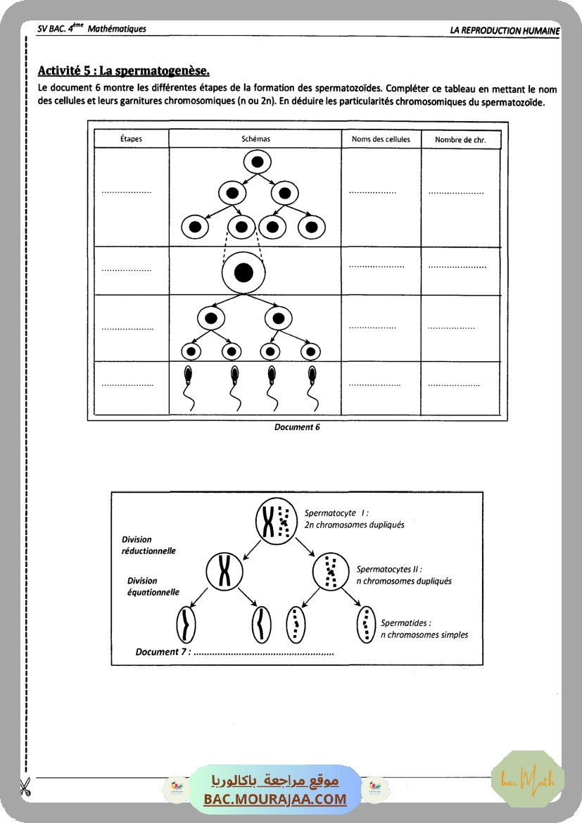 Pilote_4_Physique_Chimie_Bac_Math_T2