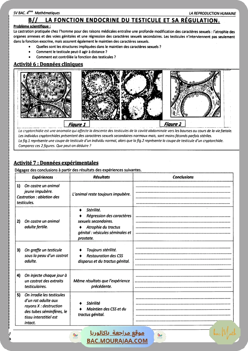 Pilote_4_Physique_Chimie_Bac_Math_T2
