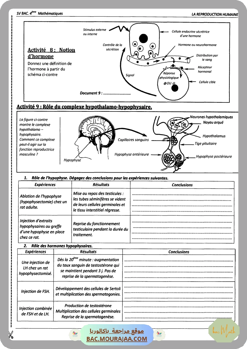 Pilote_4_Physique_Chimie_Bac_Math_T2