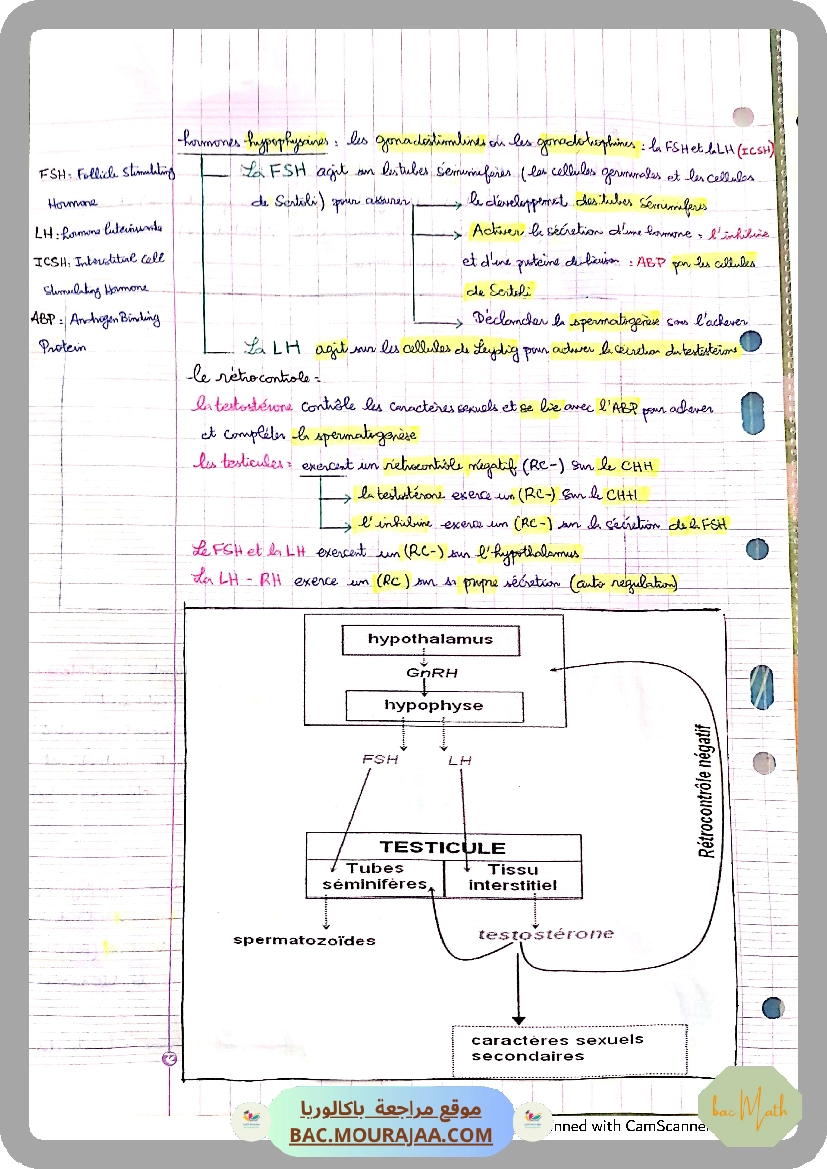 conventions_algorithmique_et_implementation_en_python