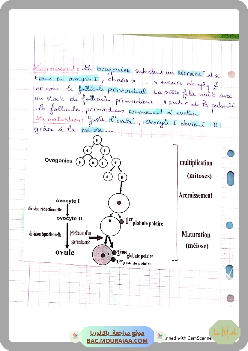 conventions_algorithmique_et_implementation_en_python