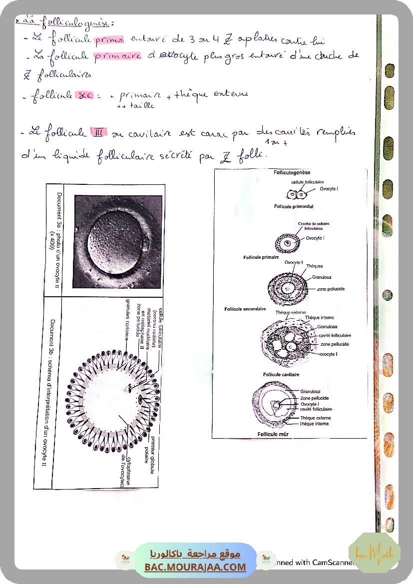 conventions_algorithmique_et_implementation_en_python