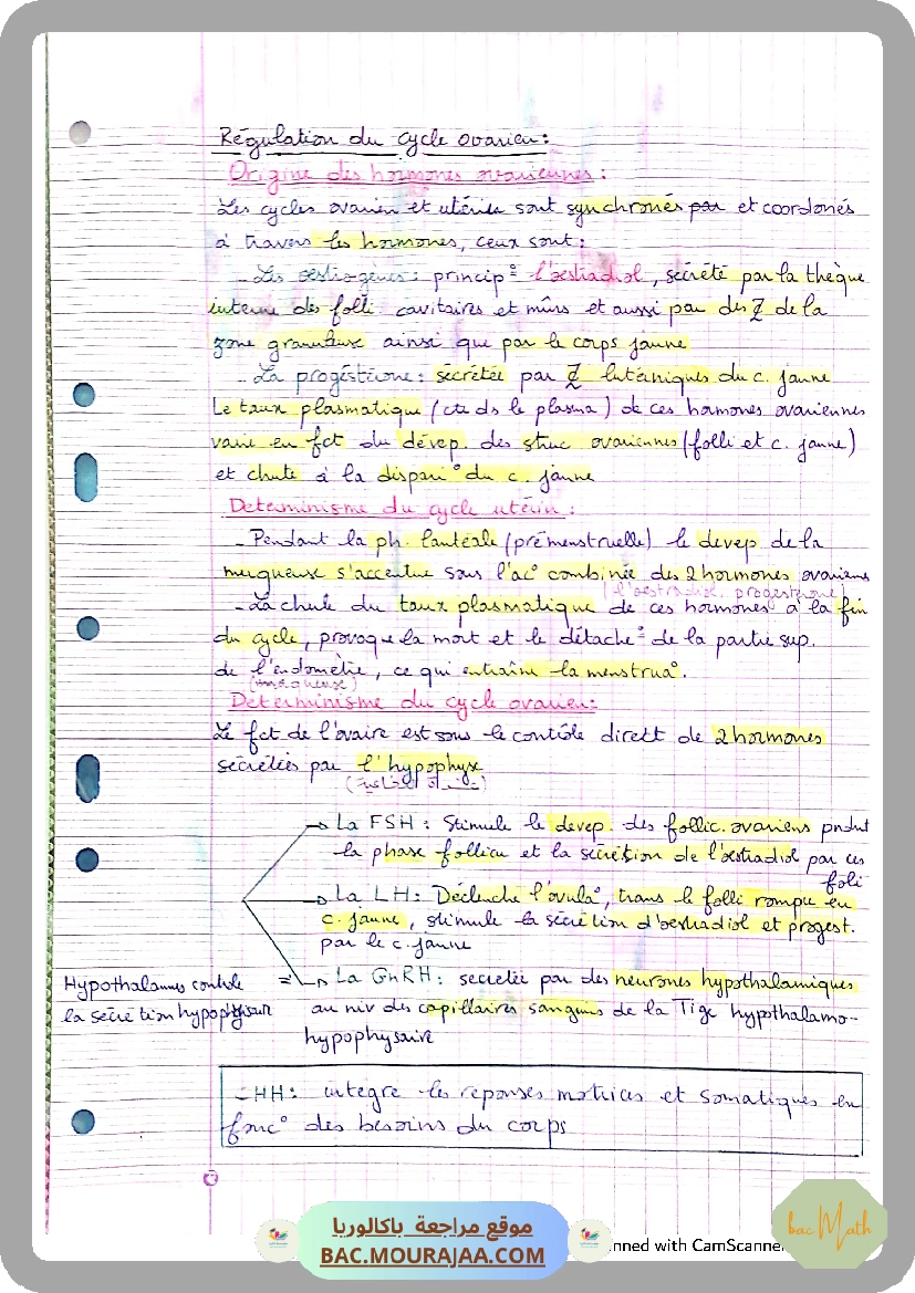 conventions_algorithmique_et_implementation_en_python
