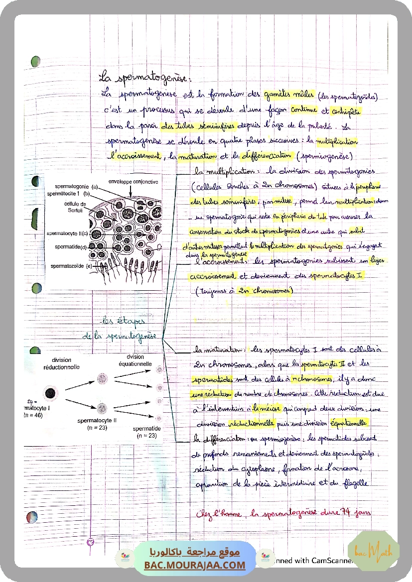 conventions_algorithmique_et_implementation_en_python