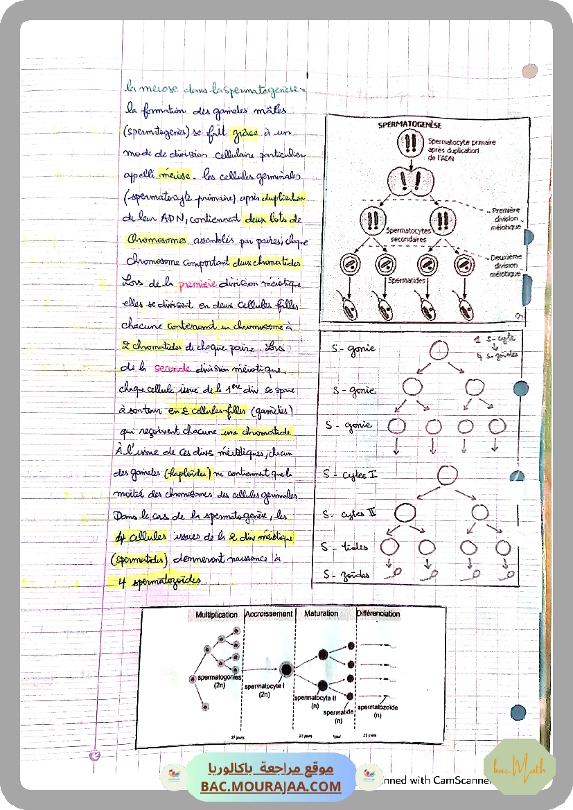 conventions_algorithmique_et_implementation_en_python