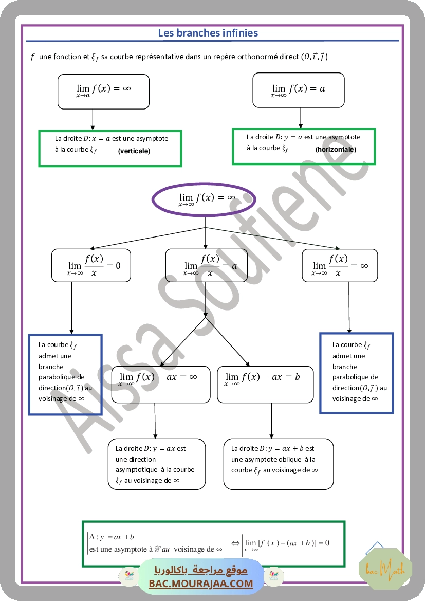Les branches infinies-resume