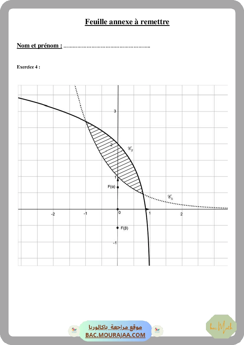 bac_blanc_math_section_math