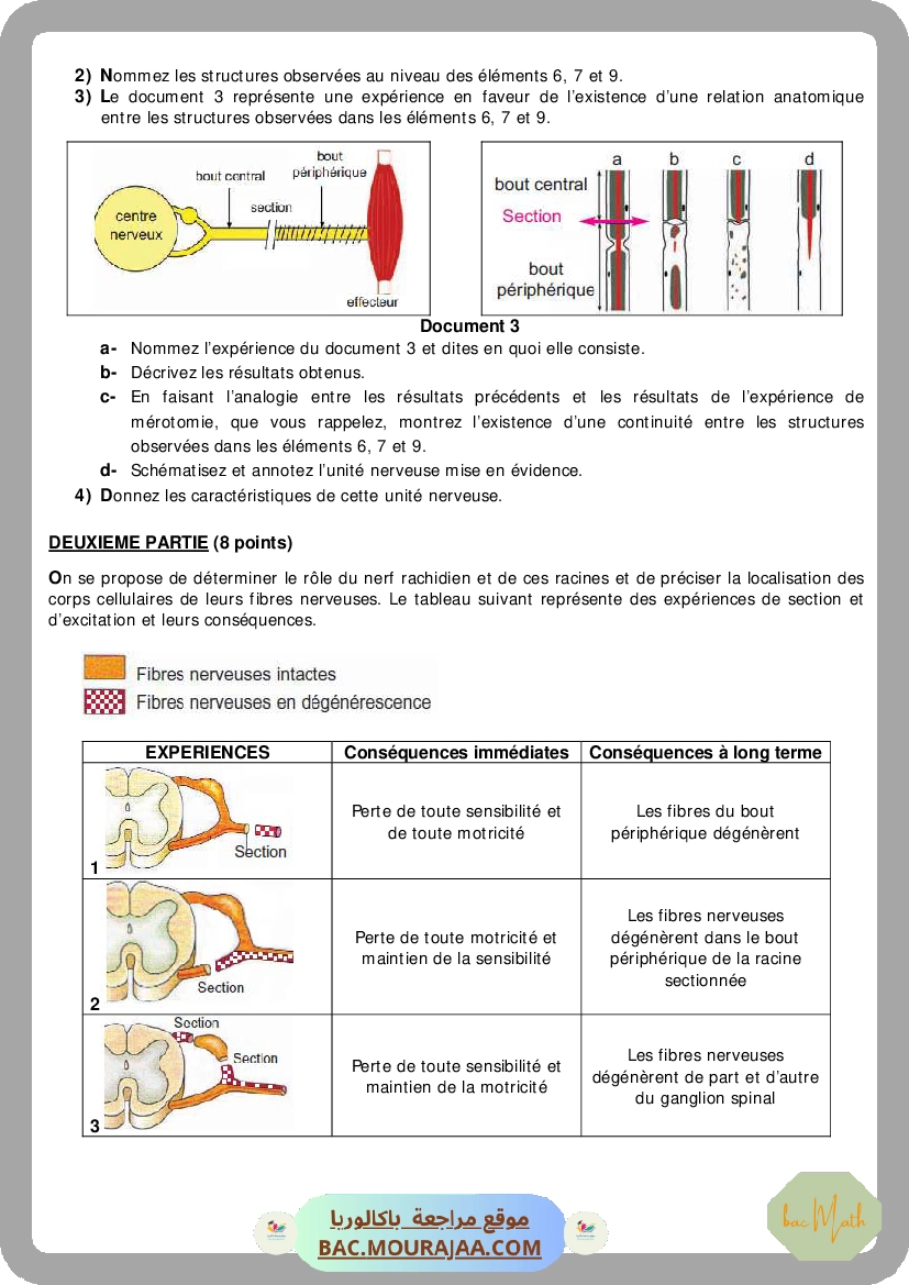 Serie_23_Noyau_atomique_Reactions_nucleaires