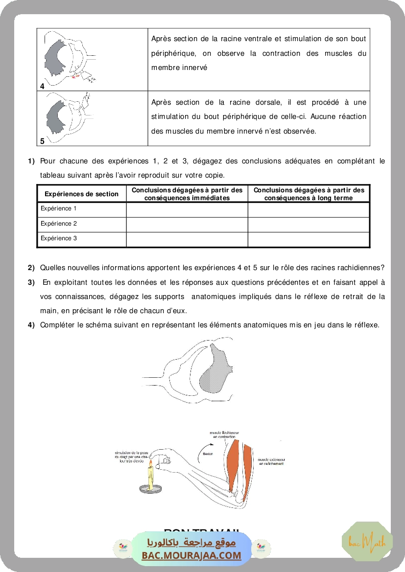Serie_23_Noyau_atomique_Reactions_nucleaires