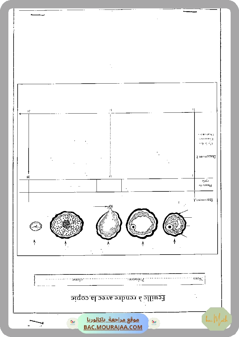 Serie_2_Dipole_RC