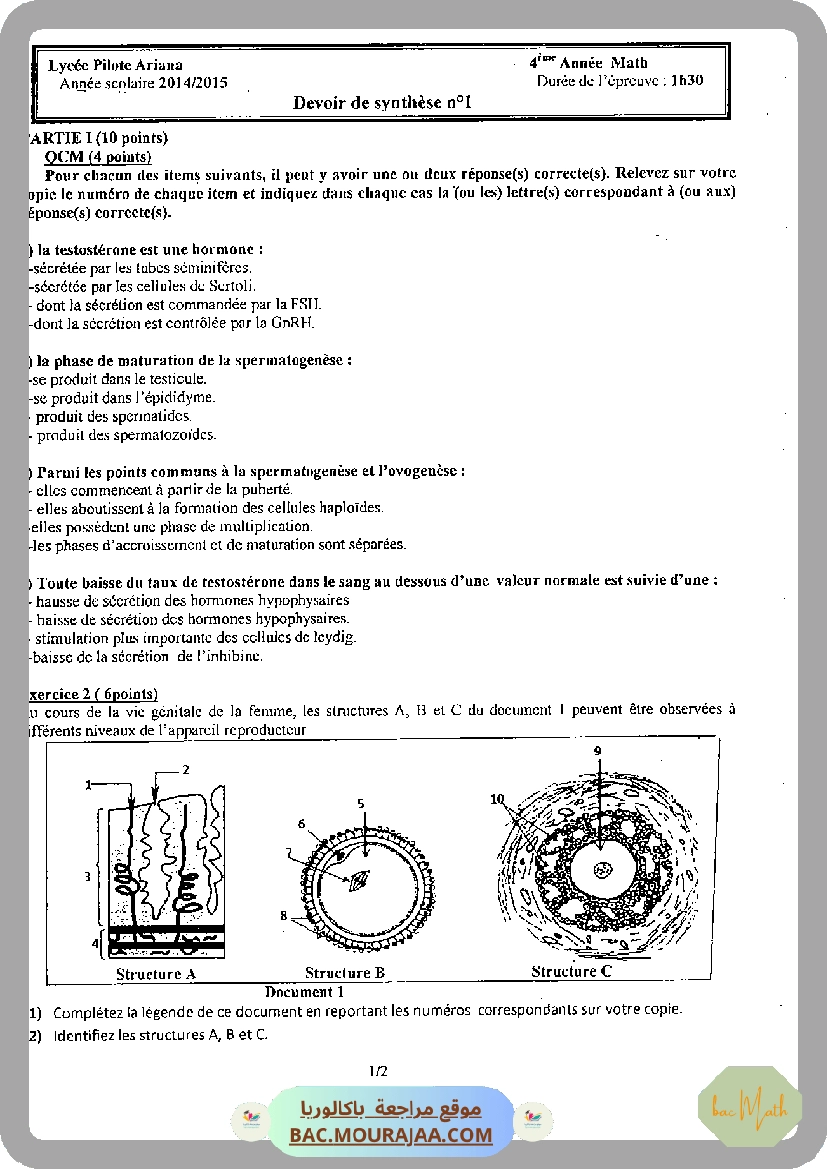 Serie_2_Dipole_RC