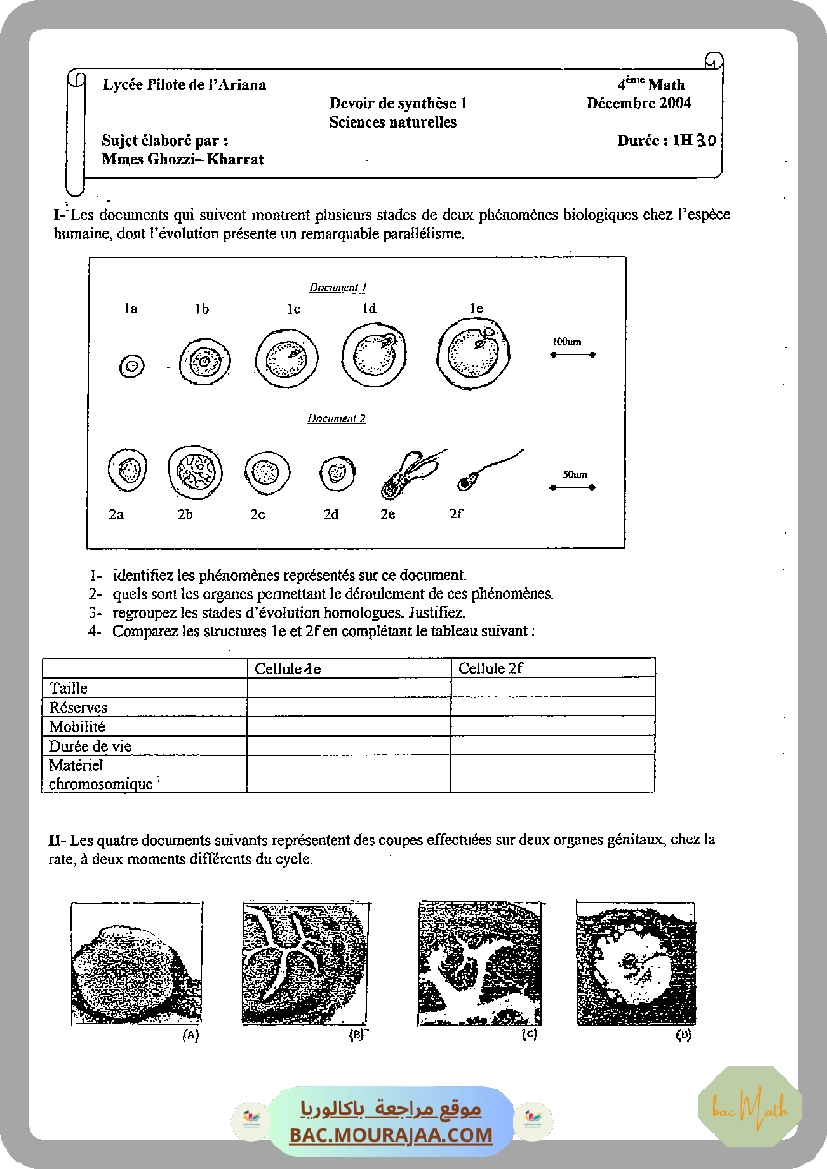 Serie_2_Dipole_RC