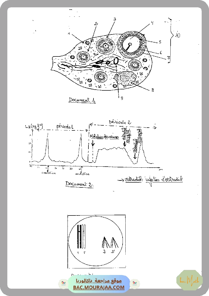 Serie_2_Dipole_RC