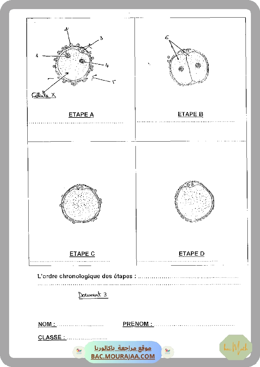 Serie_2_Dipole_RC