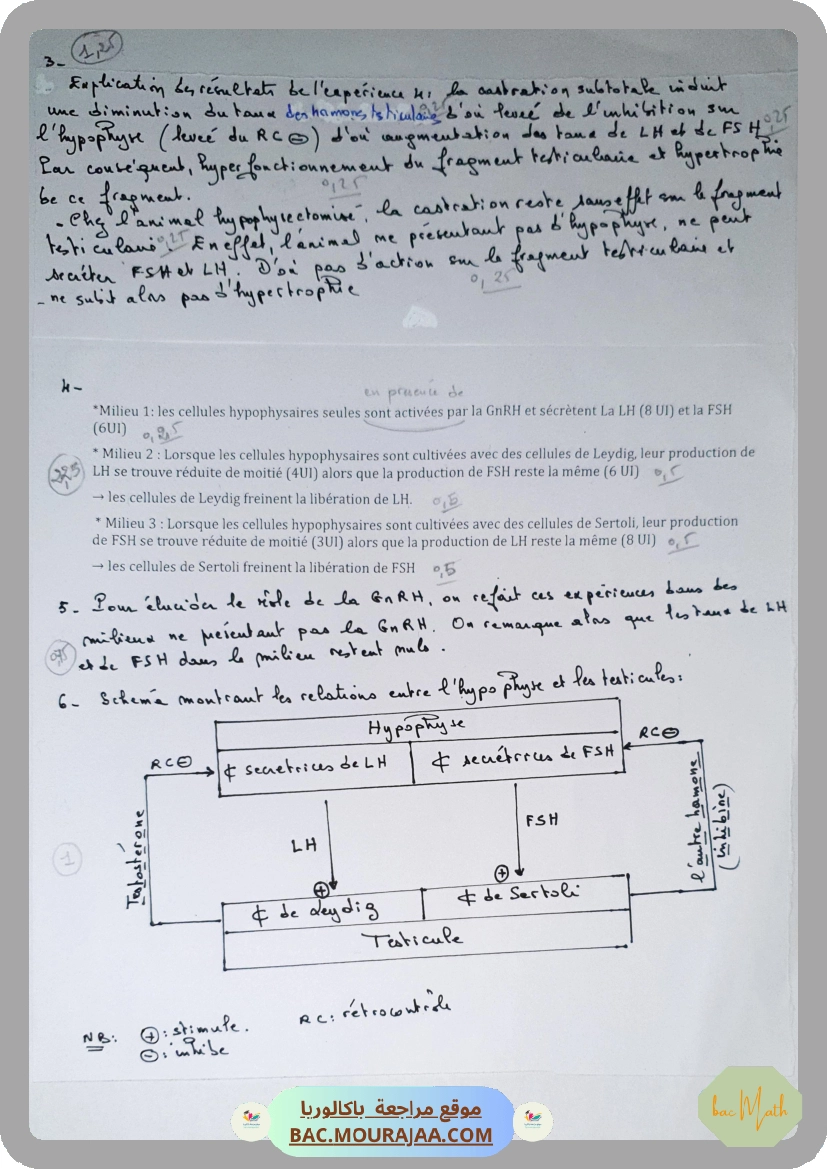 Serie_7_LAM_ _Loi_de_moderation