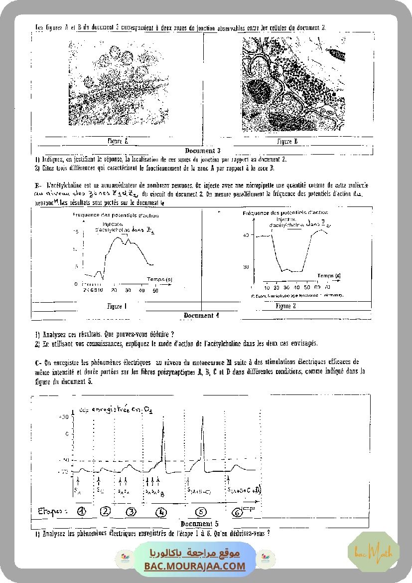 Serie_9_RLC_forcees