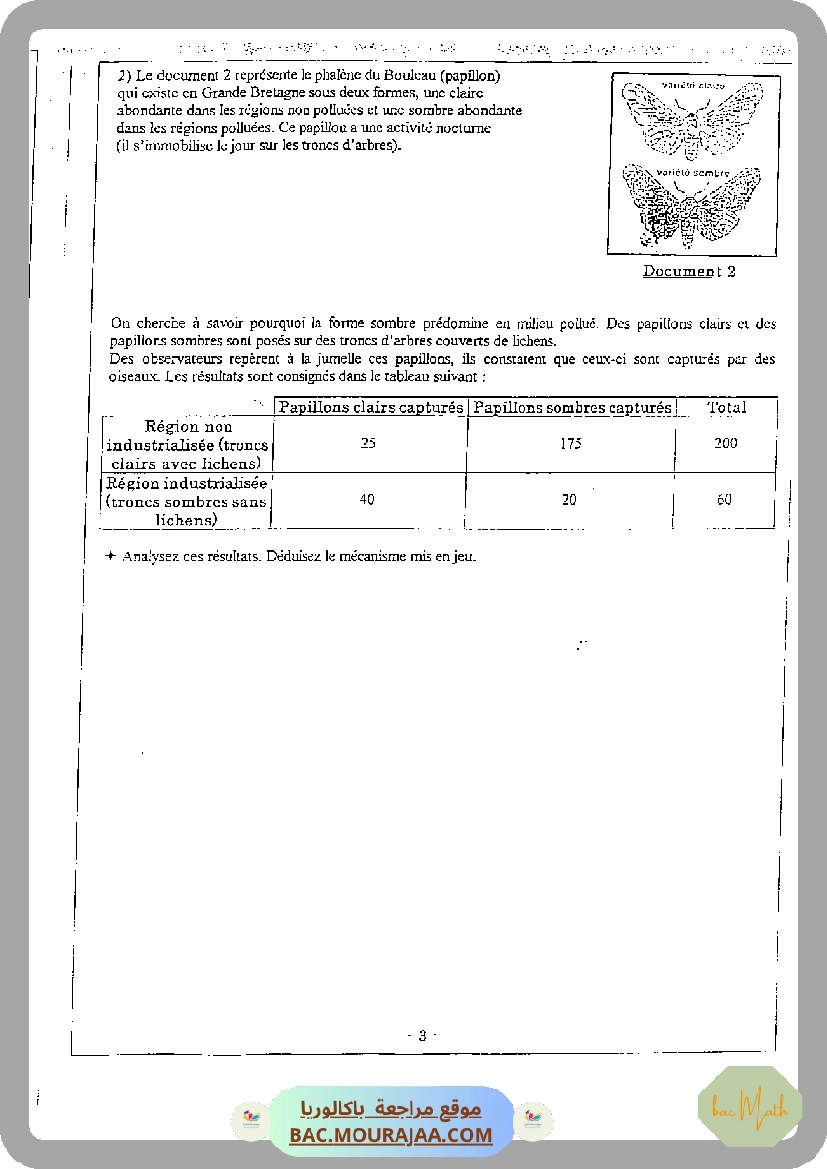 serie_bobine_et_RL