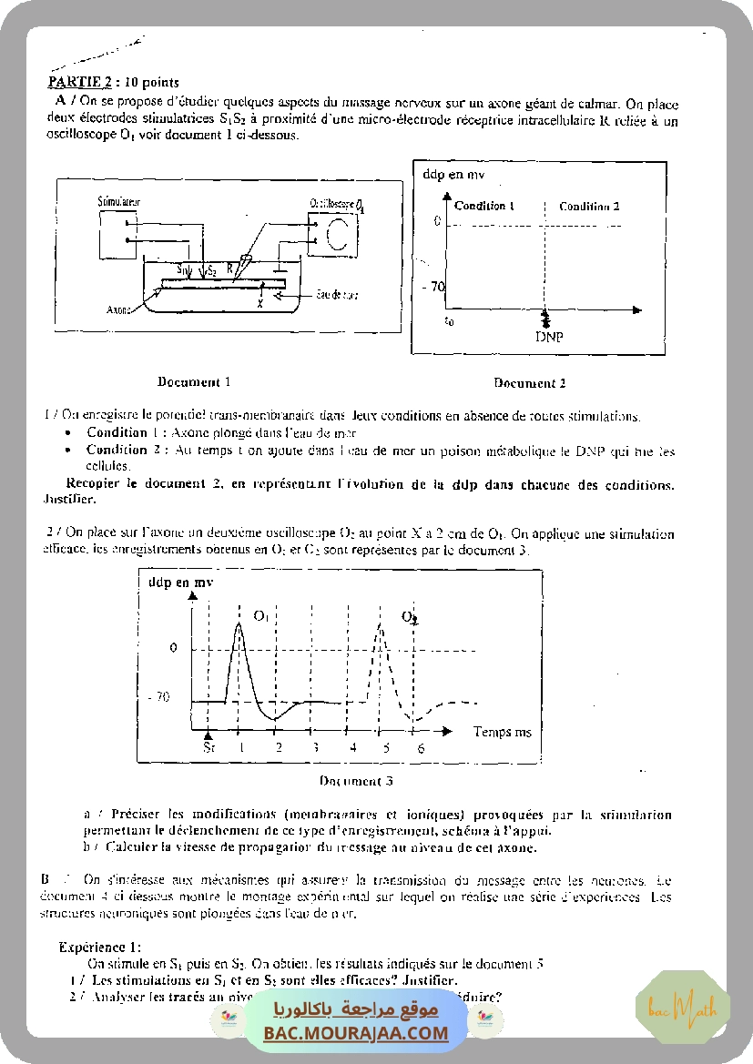 serie_bobine_et_dipole_rl