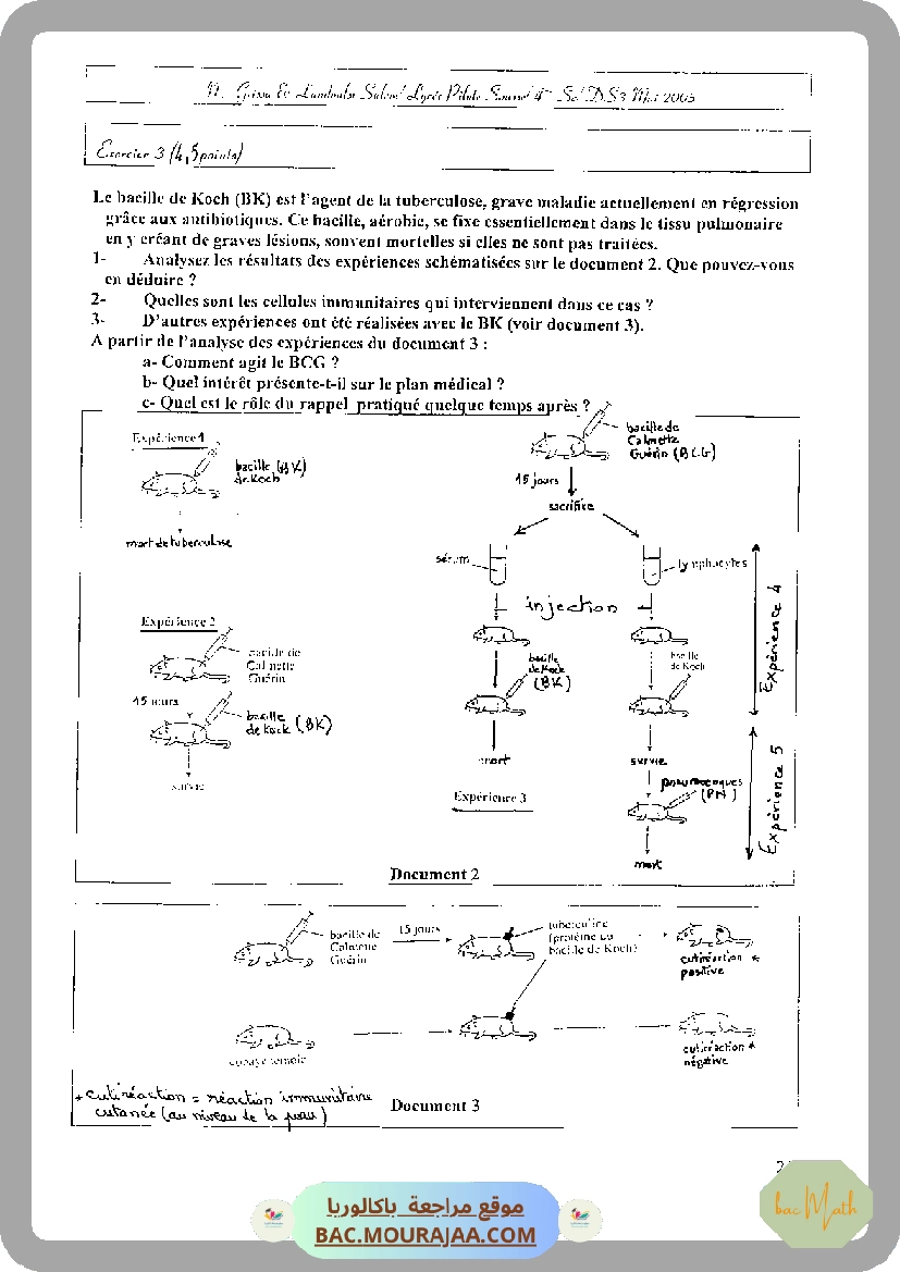 serie_bobine_et_dipole_rl