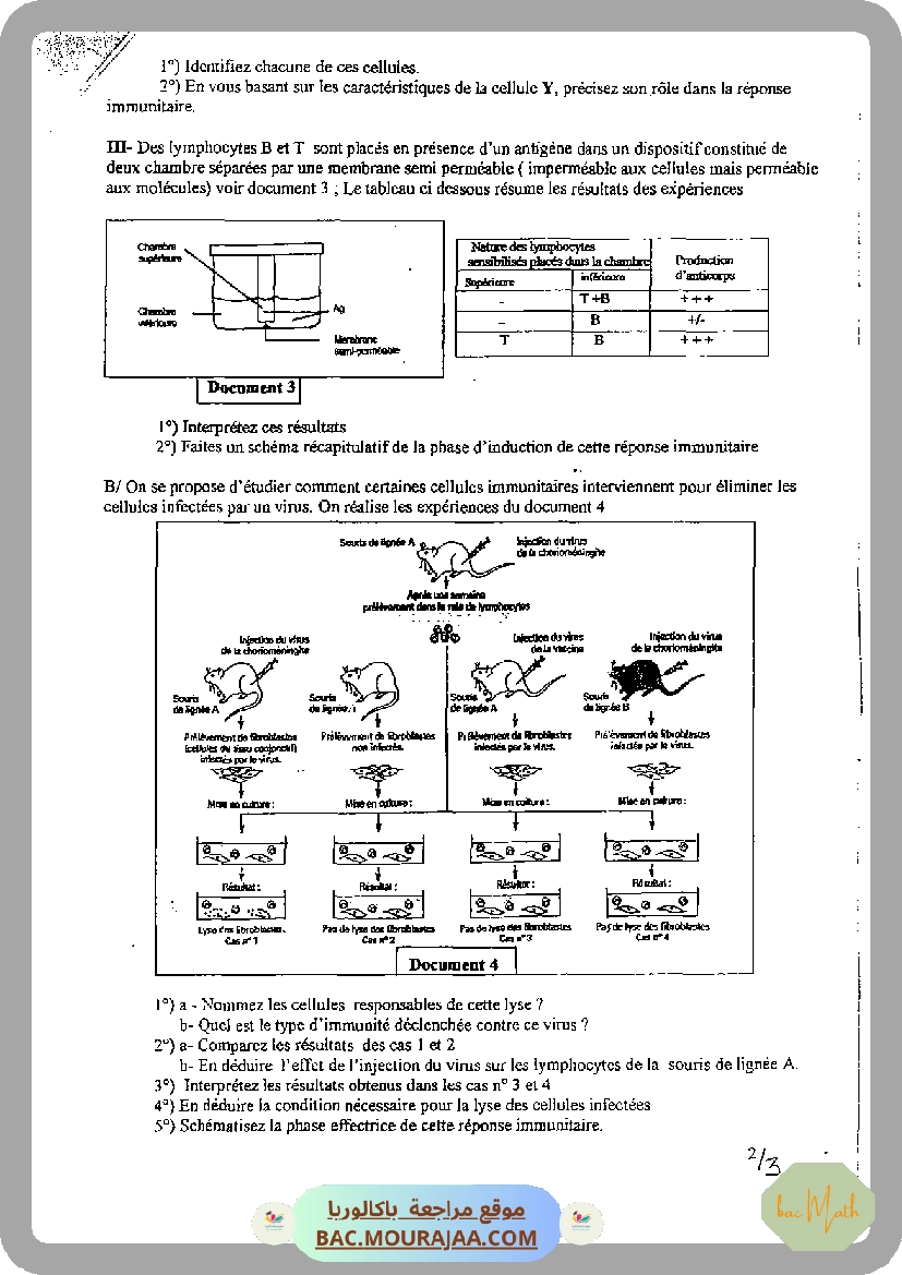 serie_bobine_et_dipole_rl