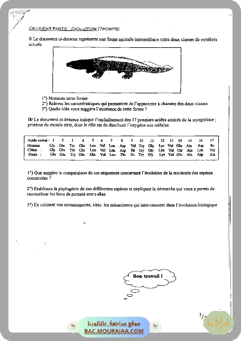 serie_bobine_et_dipole_rl