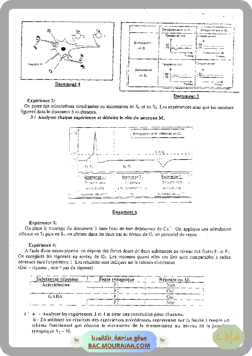 serie_bobine_et_dipole_rl