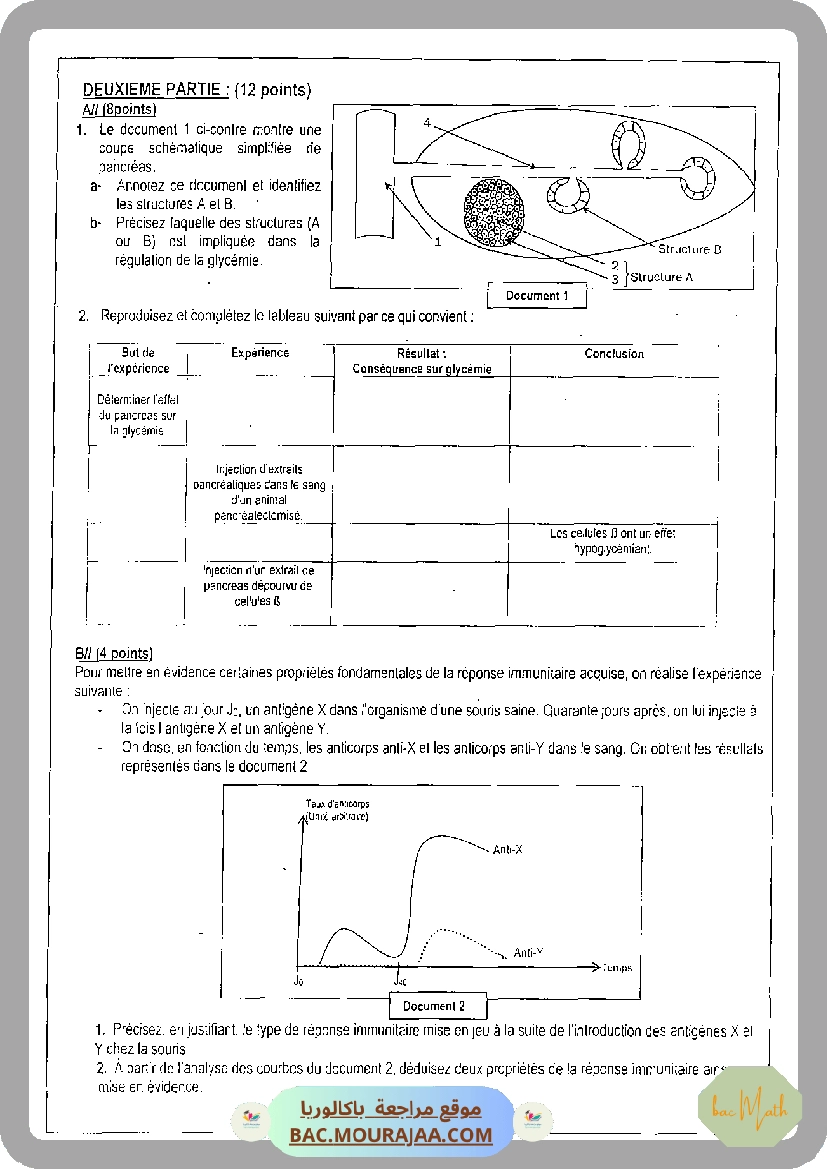 serie_bobine_et_dipole_rl