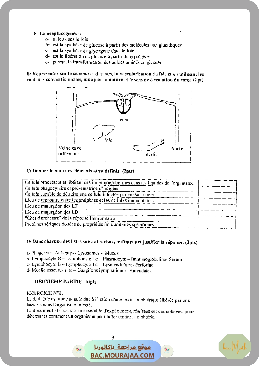 serie_bobine_et_dipole_rl