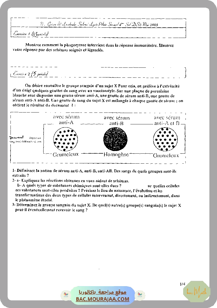 serie_bobine_et_dipole_rl