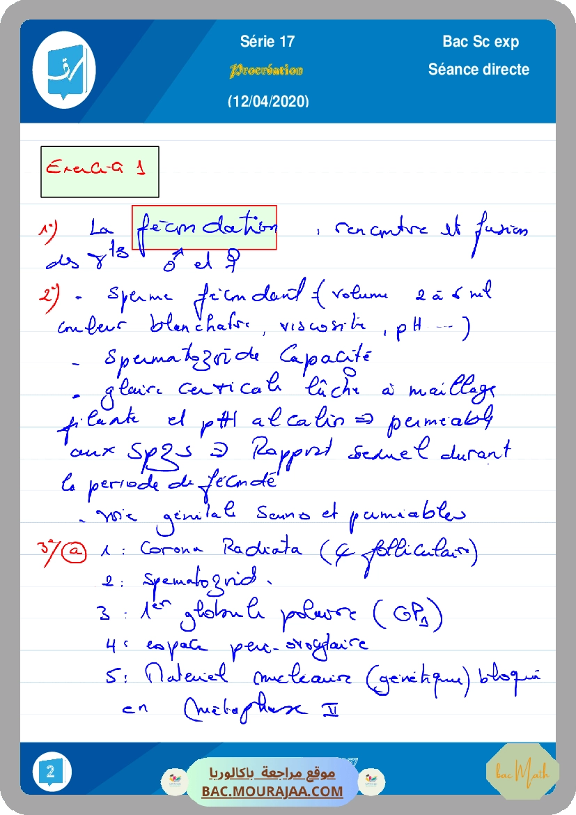 Les_oscillations_libres_electriques