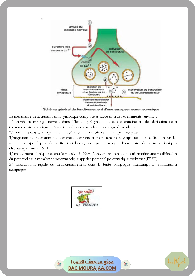 ondes2