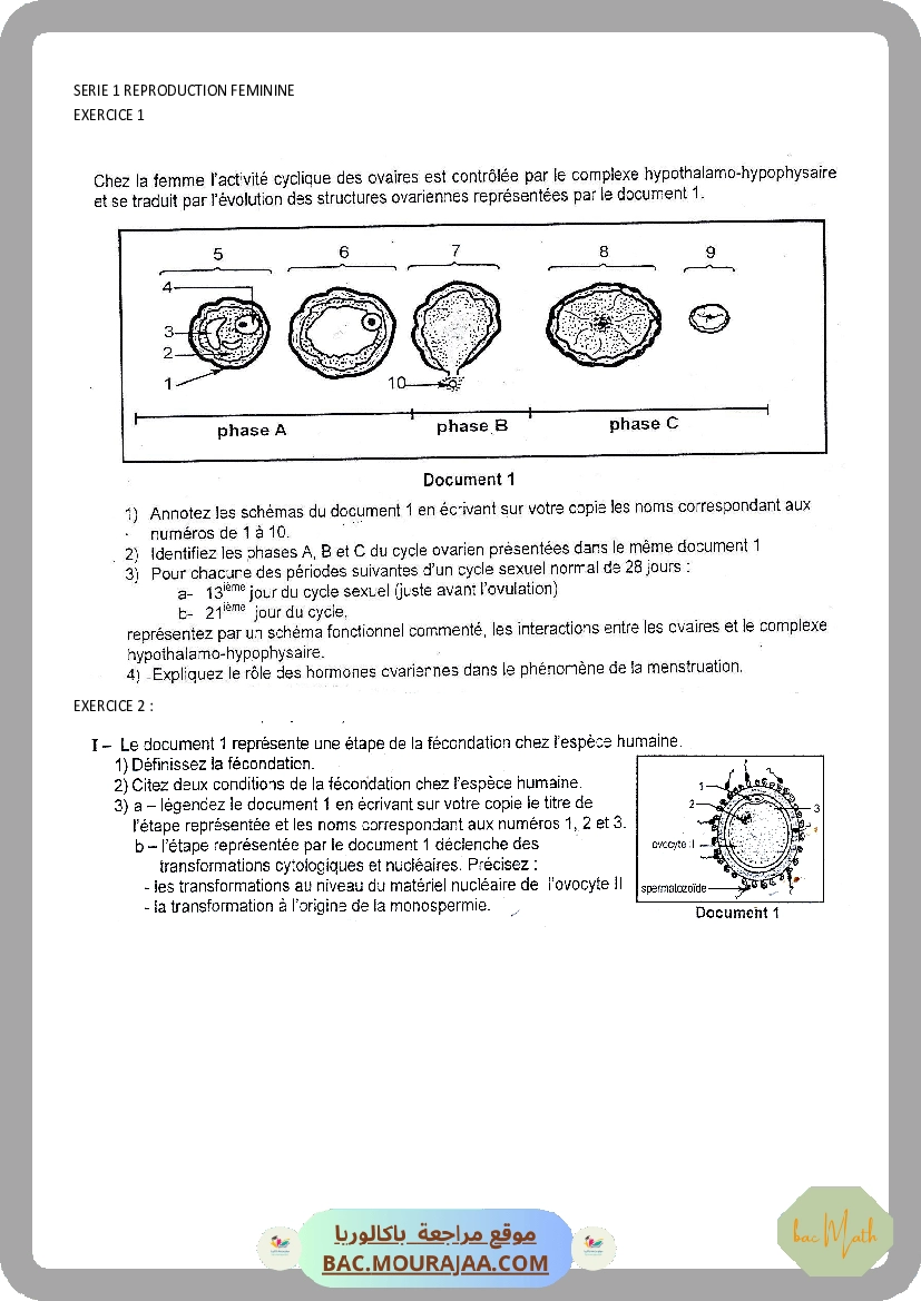 Serie_1_Dipole_RC