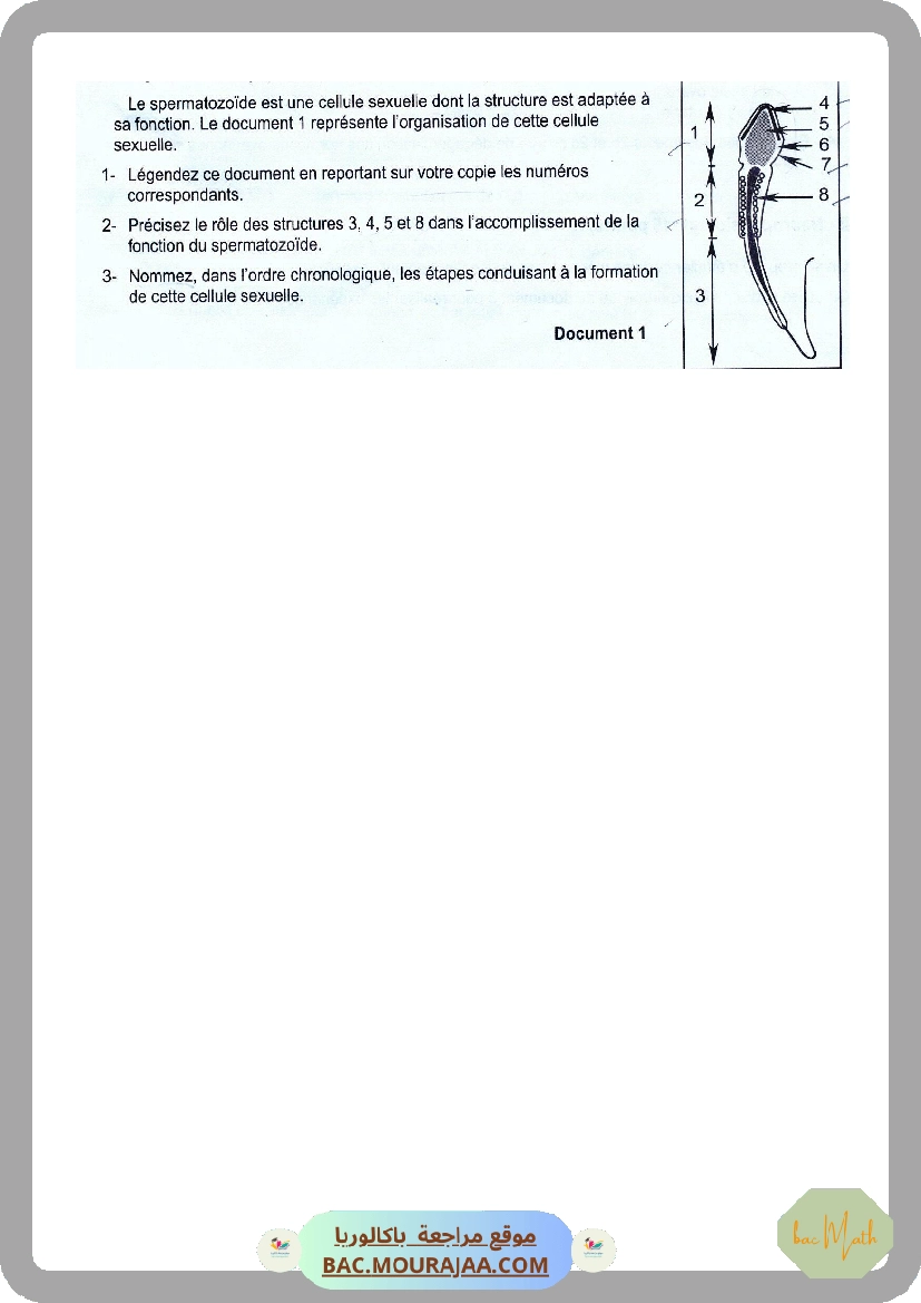Serie_1_Dipole_RC
