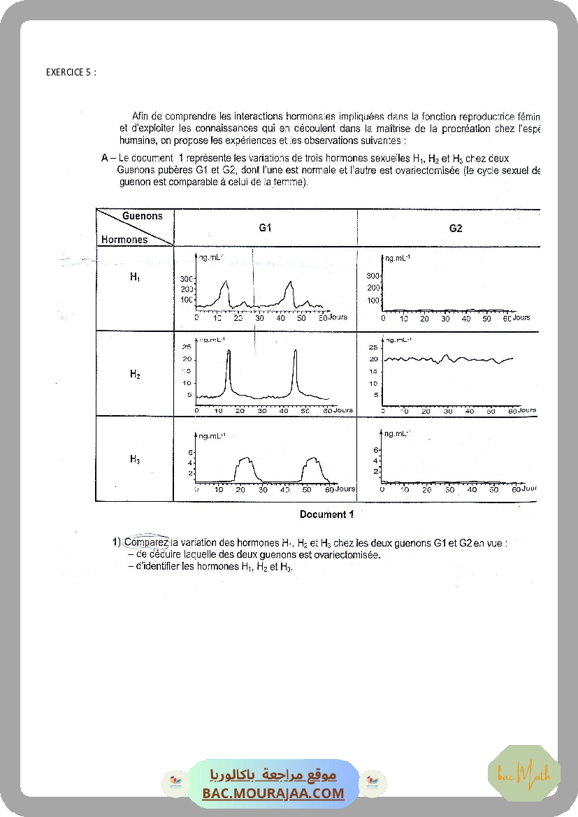 Serie_1_Dipole_RC