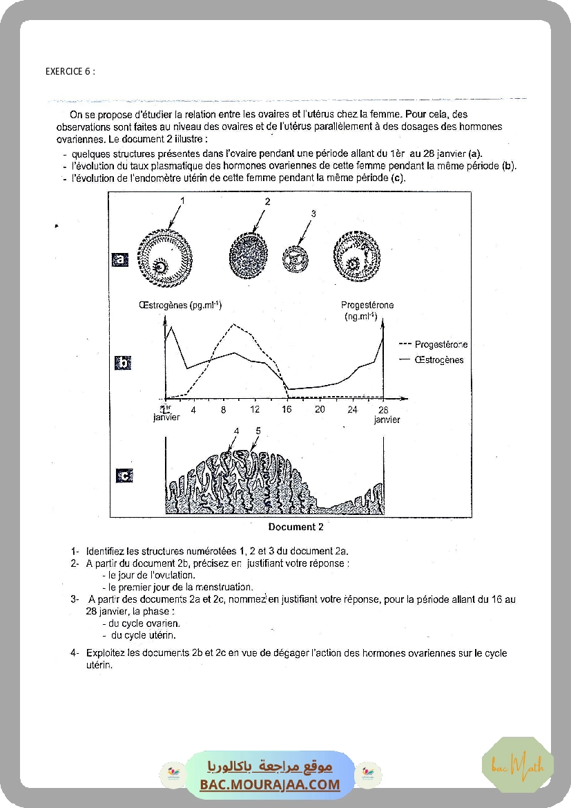 Serie_1_Dipole_RC