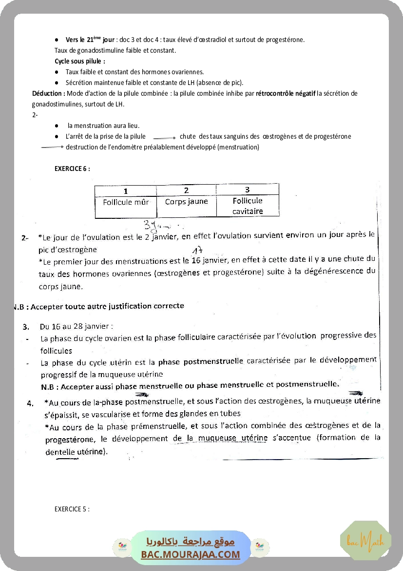 Serie_1_Dipole_RC
